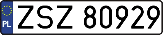 ZSZ80929