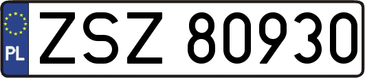 ZSZ80930