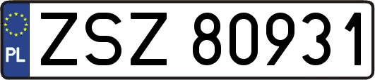 ZSZ80931