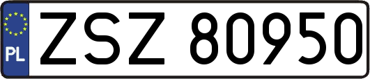 ZSZ80950