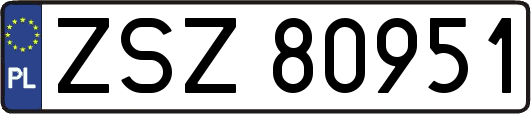 ZSZ80951