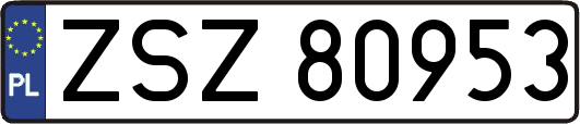 ZSZ80953
