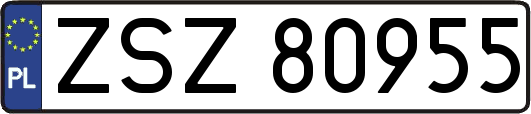ZSZ80955