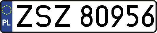 ZSZ80956