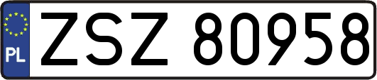 ZSZ80958