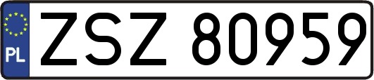 ZSZ80959