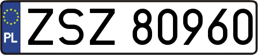 ZSZ80960