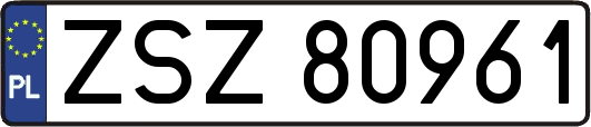 ZSZ80961