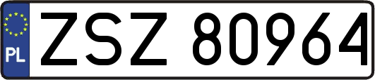ZSZ80964