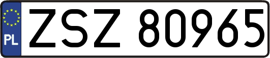 ZSZ80965
