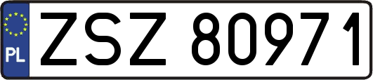 ZSZ80971