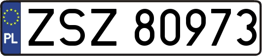 ZSZ80973