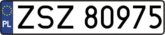 ZSZ80975
