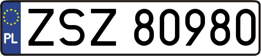 ZSZ80980