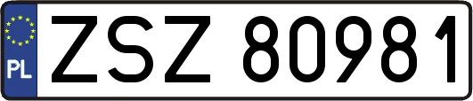ZSZ80981