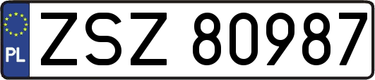 ZSZ80987
