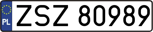 ZSZ80989