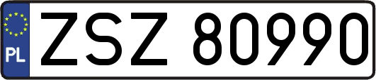 ZSZ80990