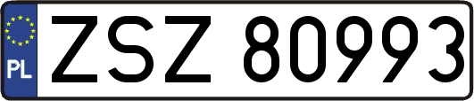 ZSZ80993