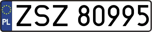 ZSZ80995