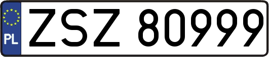 ZSZ80999
