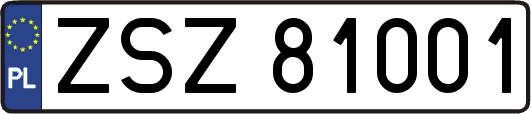 ZSZ81001