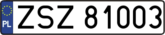 ZSZ81003