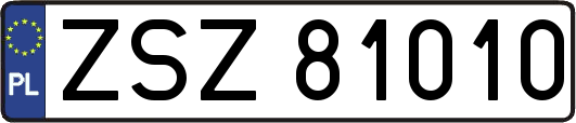 ZSZ81010