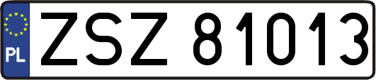 ZSZ81013