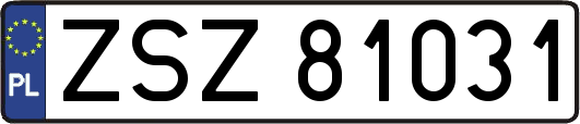 ZSZ81031