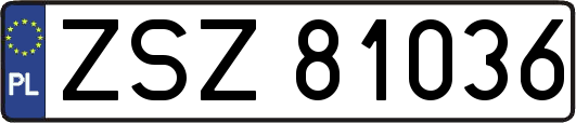 ZSZ81036