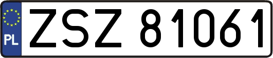 ZSZ81061