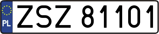 ZSZ81101