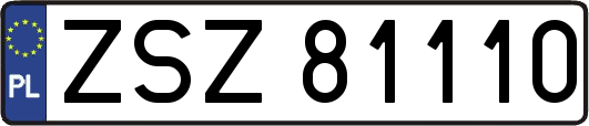 ZSZ81110