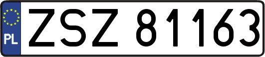 ZSZ81163