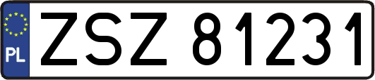 ZSZ81231