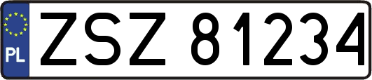 ZSZ81234