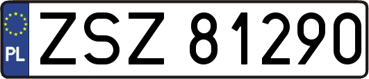 ZSZ81290