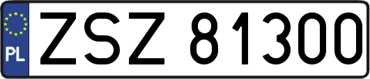 ZSZ81300