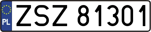ZSZ81301