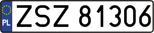 ZSZ81306