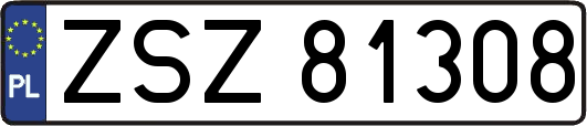 ZSZ81308