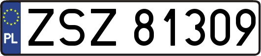 ZSZ81309