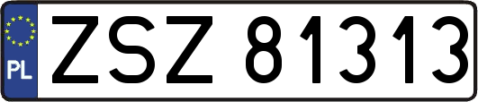 ZSZ81313