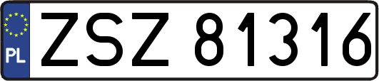 ZSZ81316