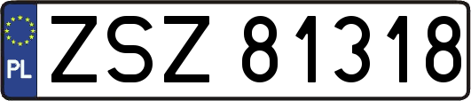 ZSZ81318