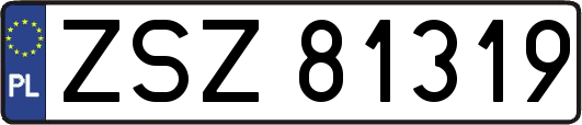 ZSZ81319