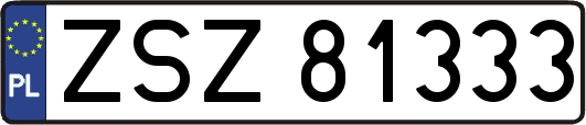 ZSZ81333