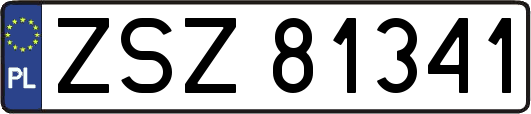 ZSZ81341