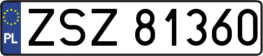 ZSZ81360